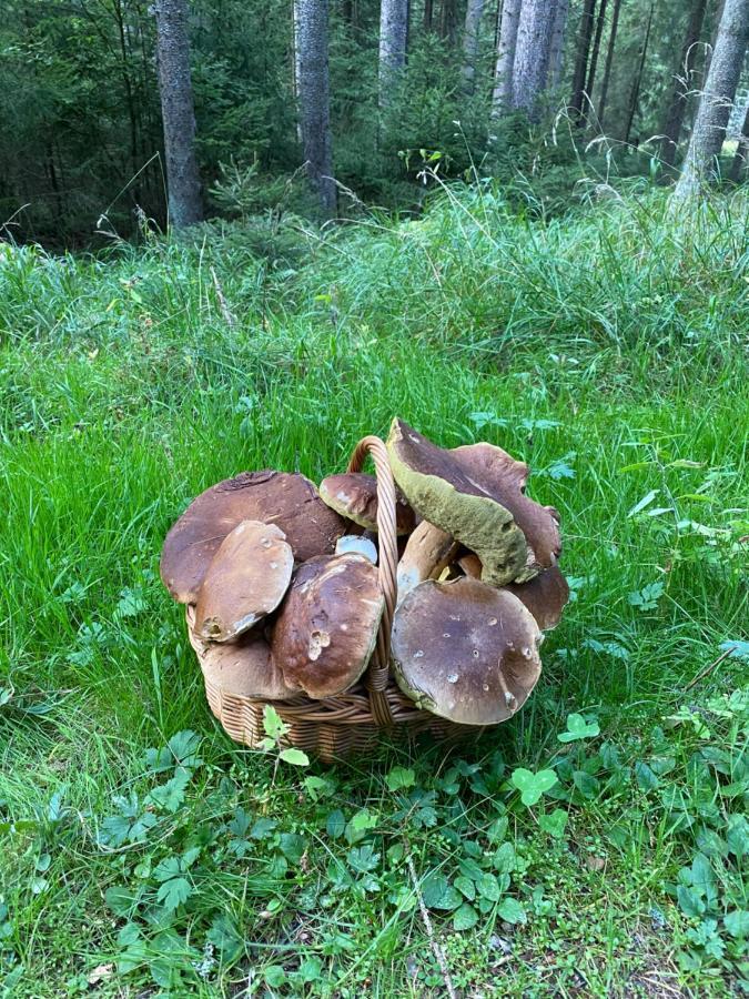 Ctyri Pokoje Tachov  Luaran gambar